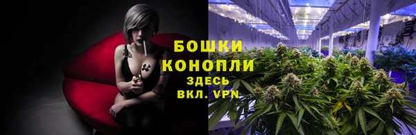каннабис Алзамай