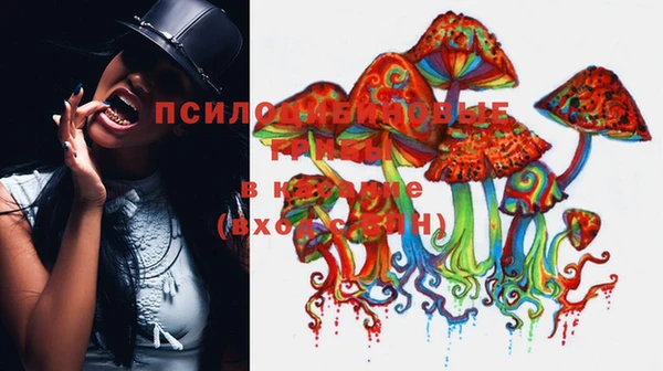каннабис Алзамай